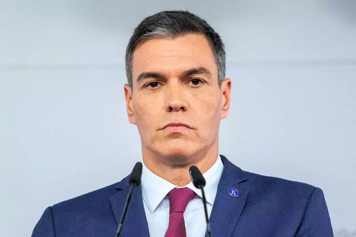 Perro Sanchez